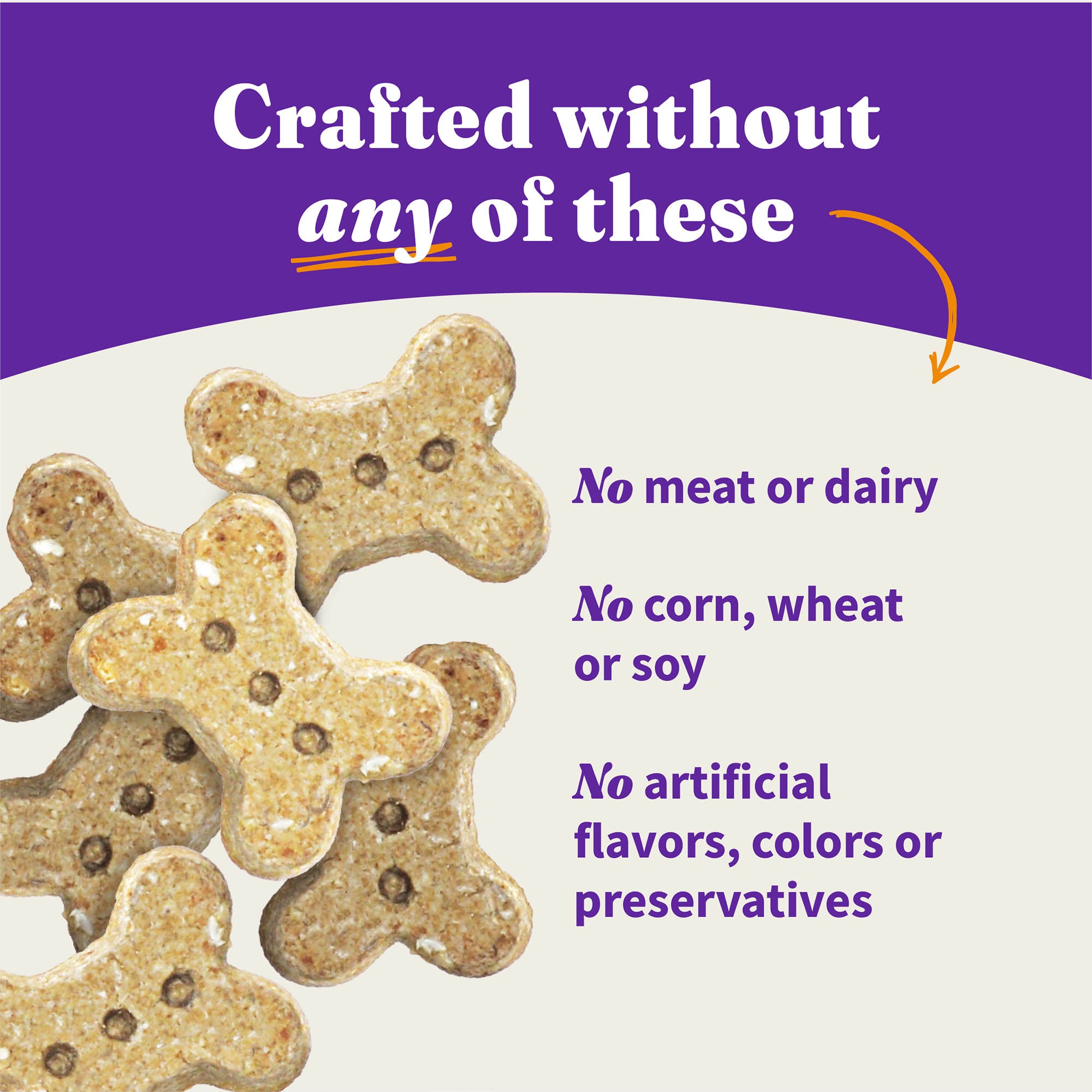 Holistic Plant Based with Oats & Blueberries Dog Biscuits 8 oz