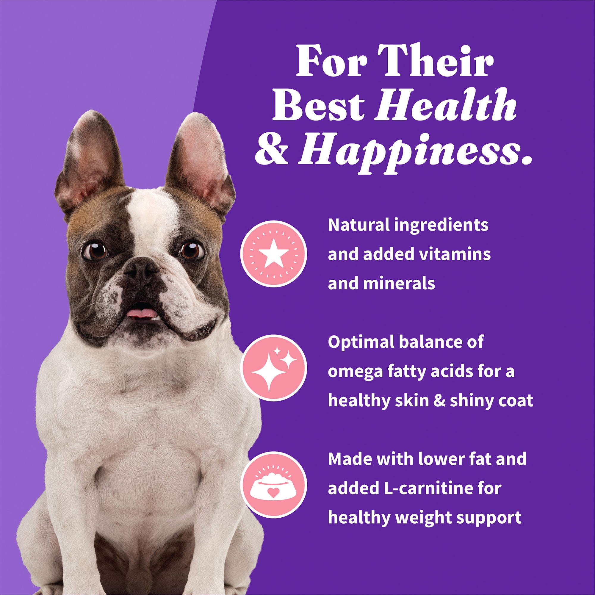 Holistic Healthy Weight Support Wild-Caught Salmon & Whitefish Recipe