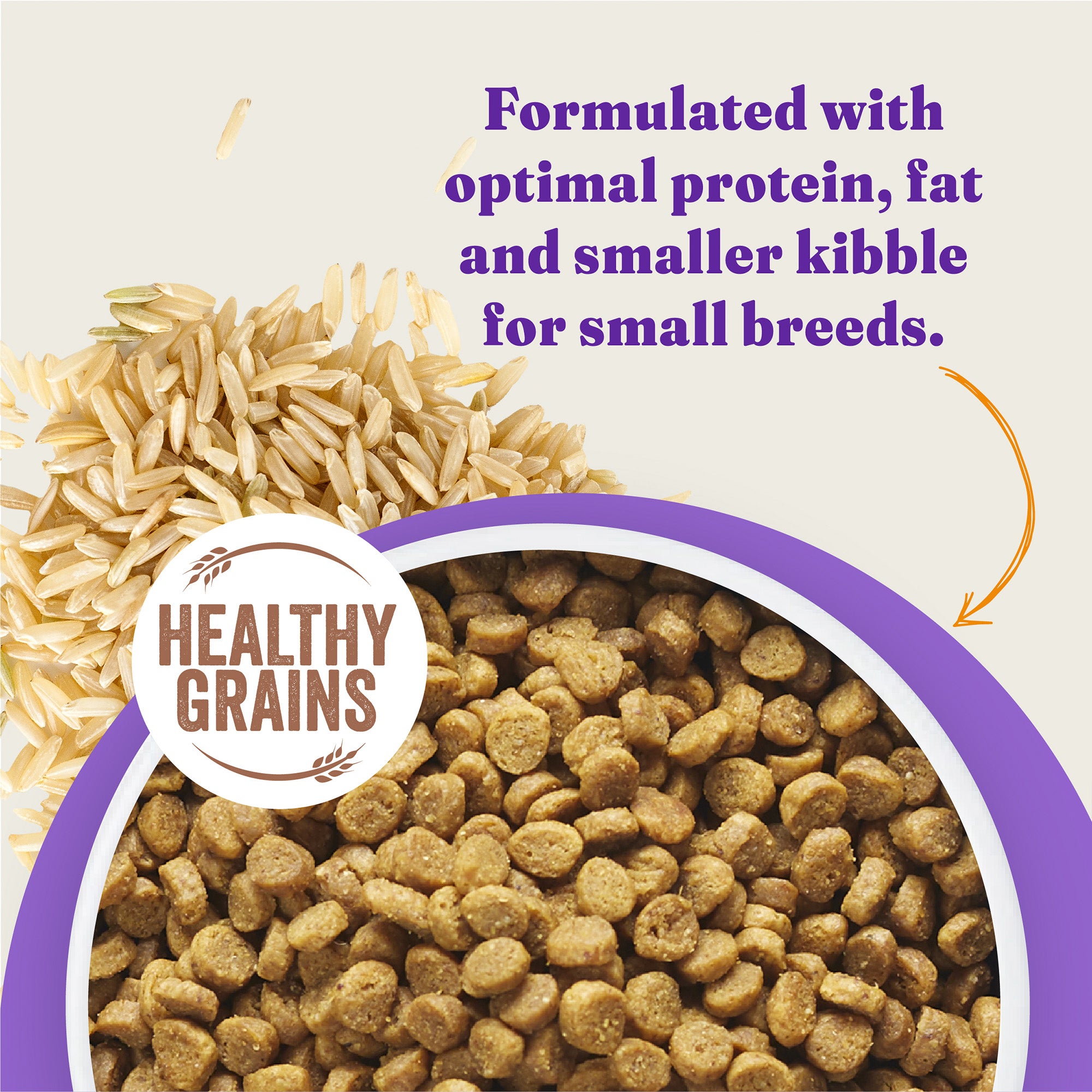 Holistic Cage-Free Chicken & Brown Rice Recipe Small Breed Dry Dog Foo