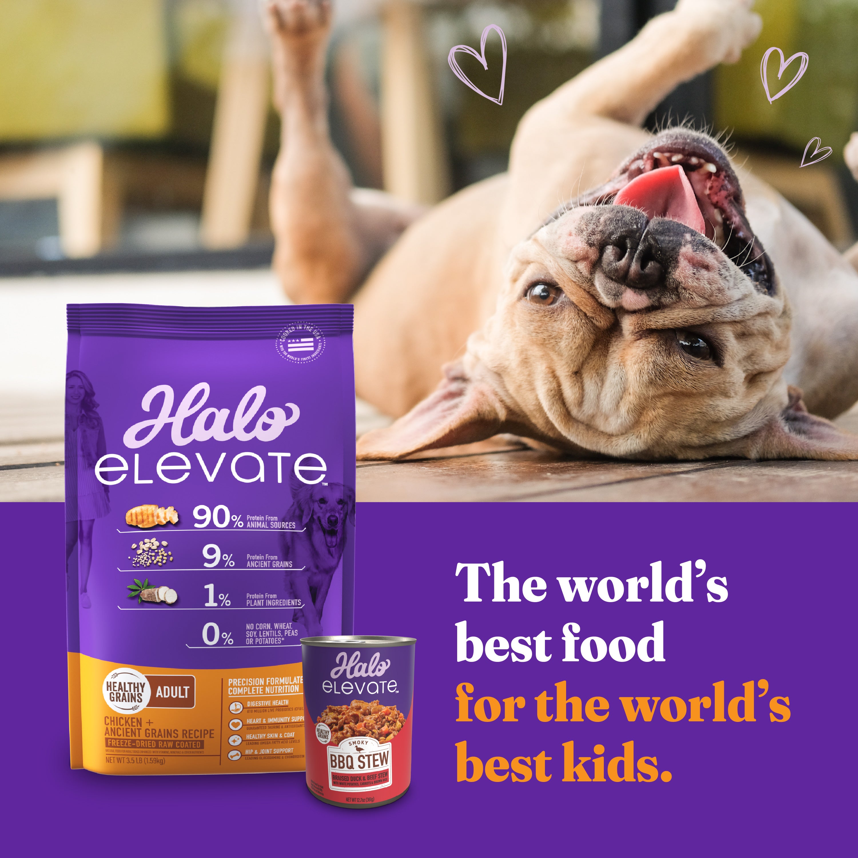 Elevate Homestyle Bone-In Grain Free Chicken Stew w/ Carrots & Spinach