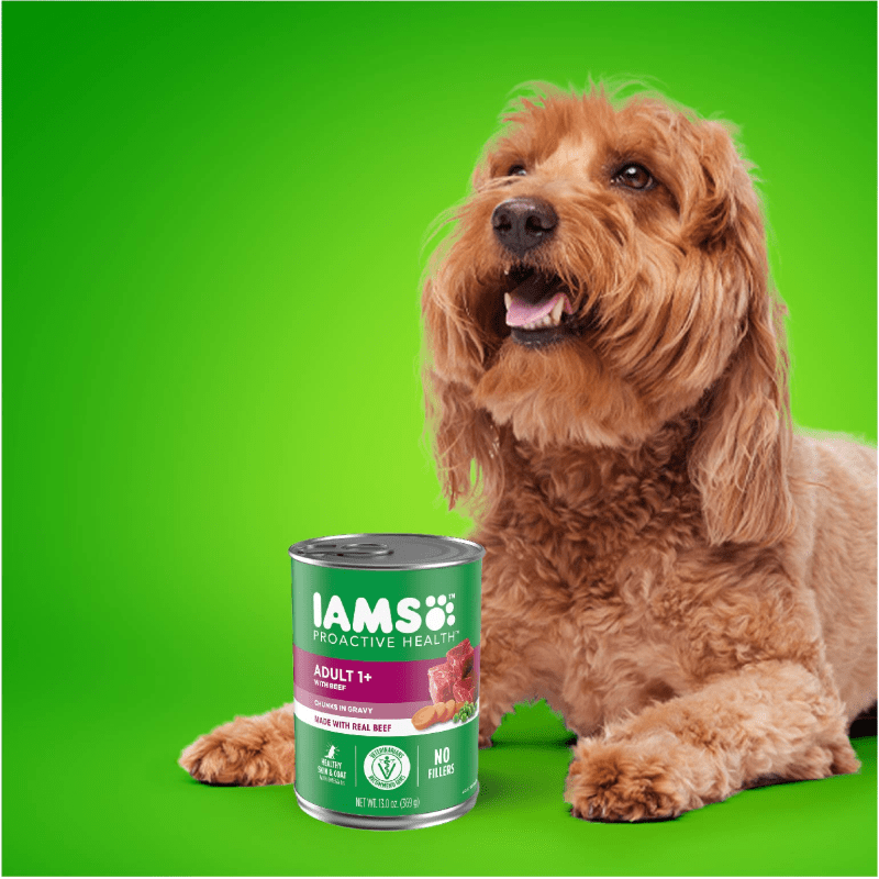 IAMS ADULT BEEF CHUNKS IN GRAVY