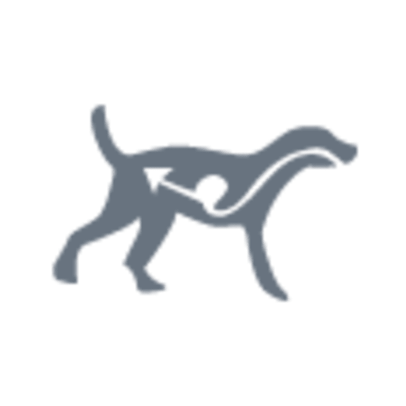 IAMS ADVANCED HEALTH SKIN & COAT