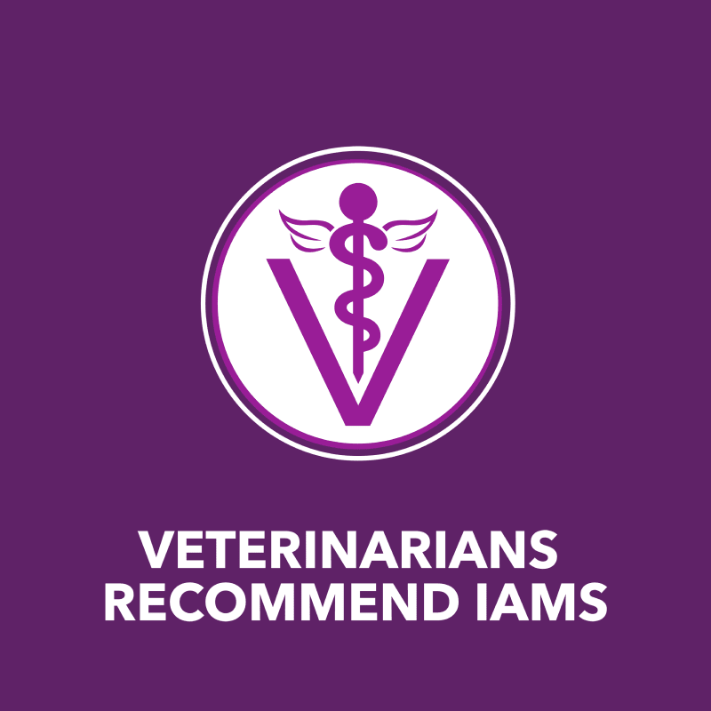 IAMS ADVANCED HEALTH MOBILITY SUPPORT