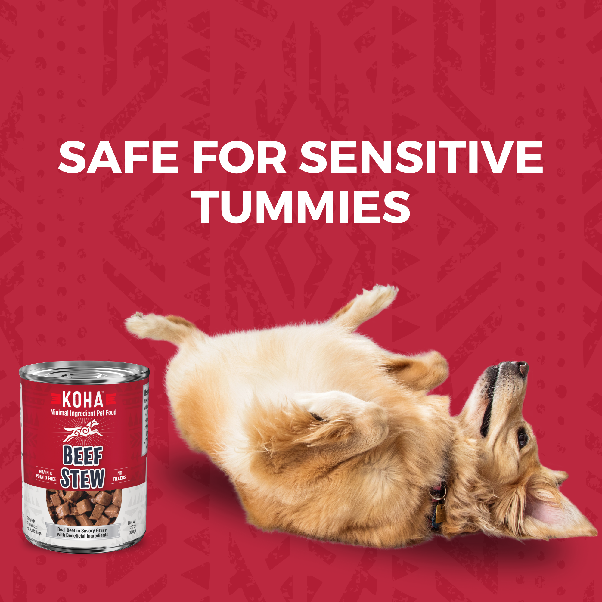 Beef Stew Dog Food - Grain Free - KOHA– KOHA Pet