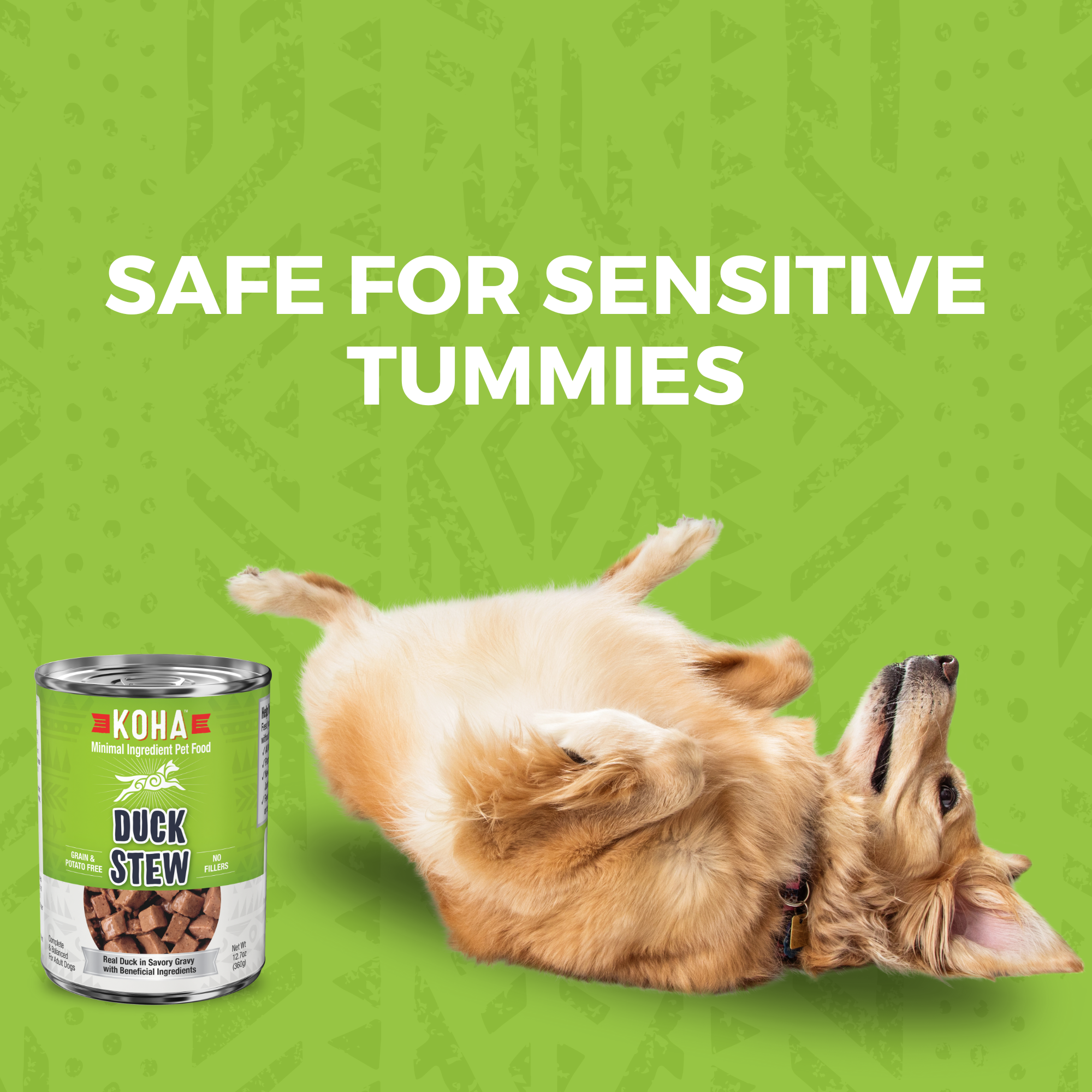 Minimal Ingredient Duck Stew for Dogs– KOHA Pet