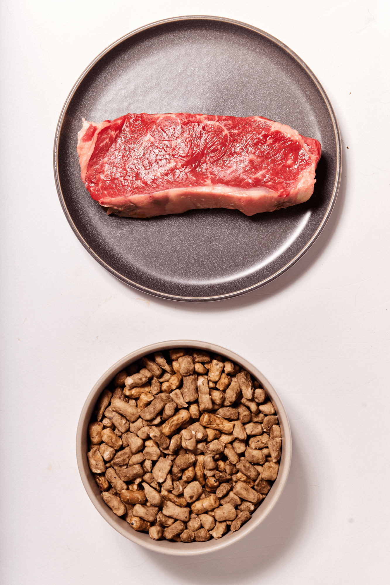 Freeze Dried beef dog food grain free & no fake stuff