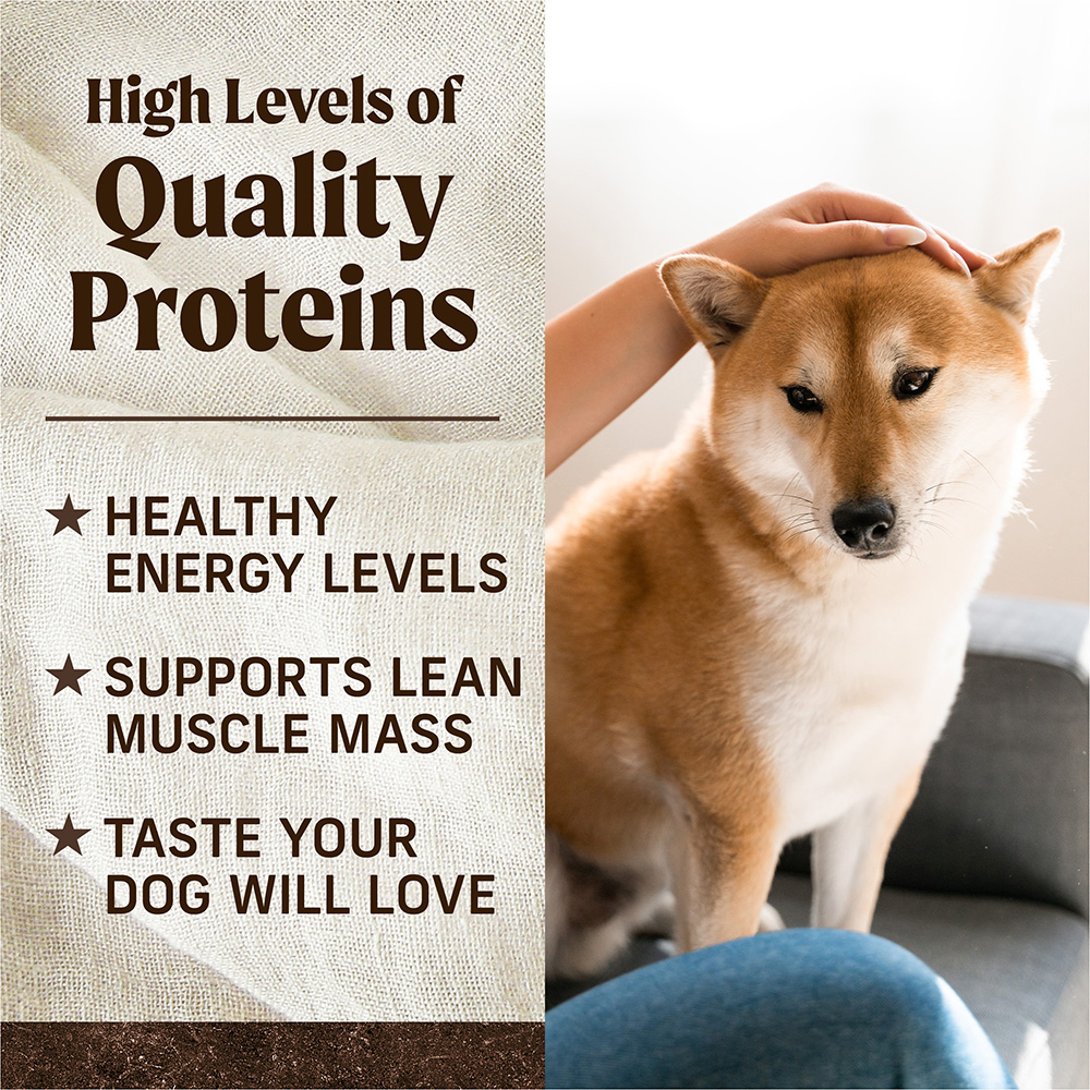 Grain Free Texas Beef & Sweet Potato Dry Dog Food