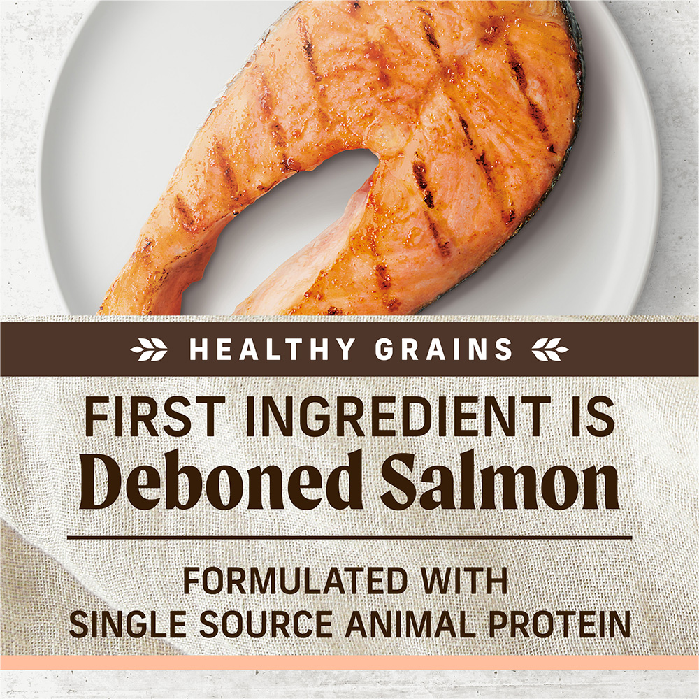 Limited Ingredient Salmon & Brown Rice Dry Dog Food