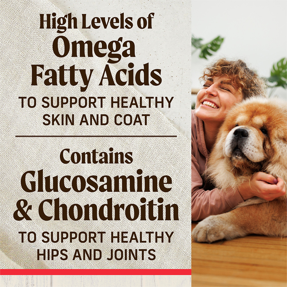 Healthy Grains Freeze Dried Beef Kibble Dog Food