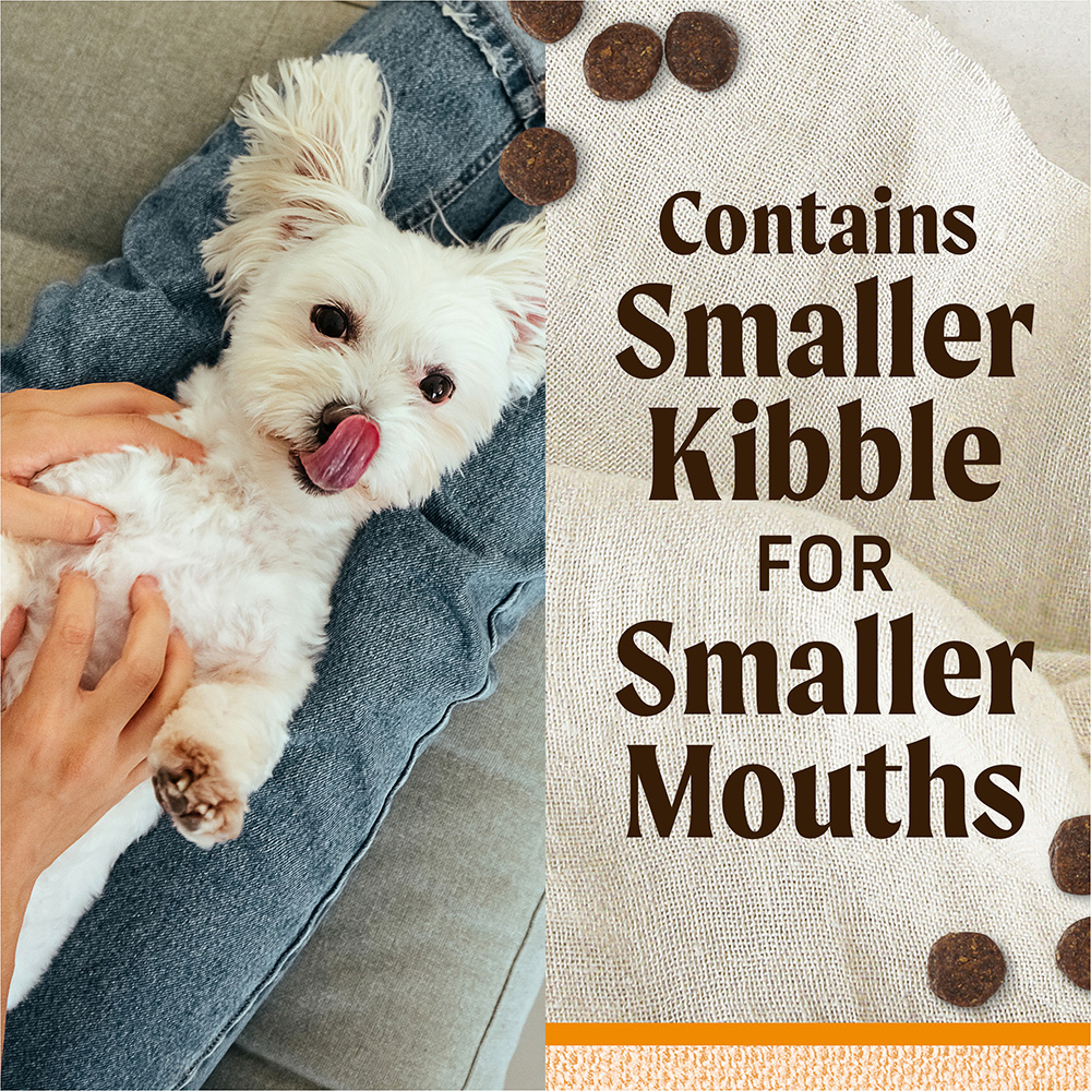 Lil' Plates Chicken Small Breed Dry Dog Food