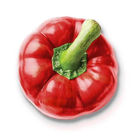 Slow-Cooked BBQ Chopped Lamb Wet Dog Food