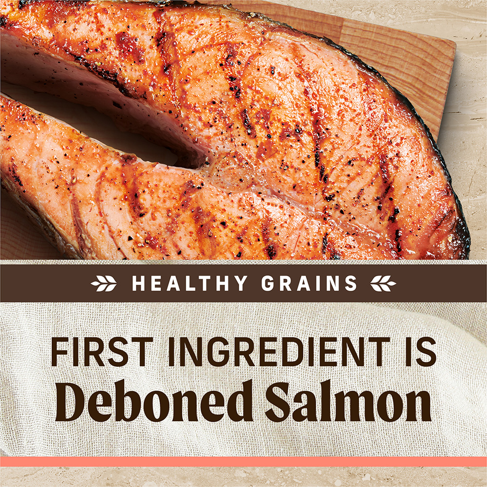 Healthy Grains Salmon & Brown Rice Dry Dog Food