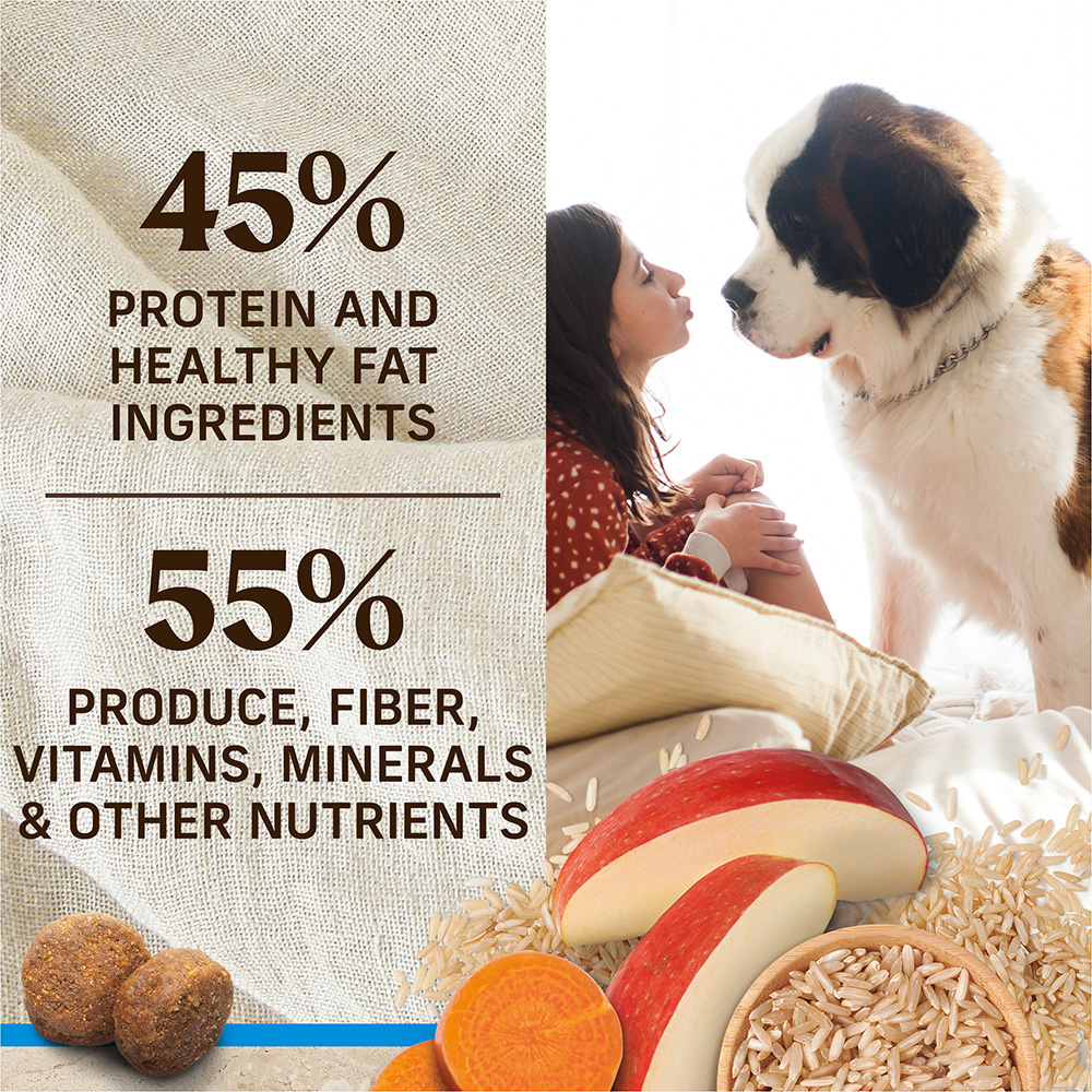 Healthy Grains Large Breed Dry Dog Food