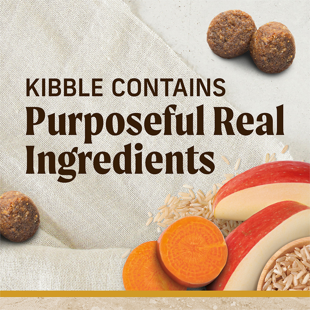 Healthy Grains Healthy Weight Dry Dog Food