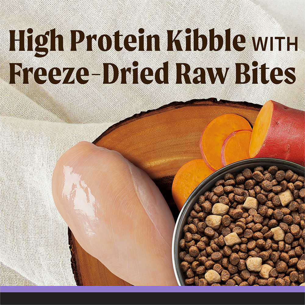 Backcountry Grain Free Raw Infused Puppy Food