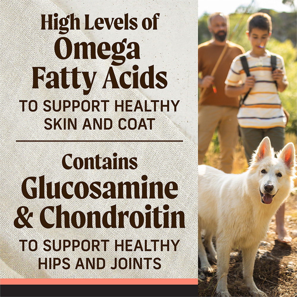 Backcountry Raw Grain Free Pacific Catch Dog Food