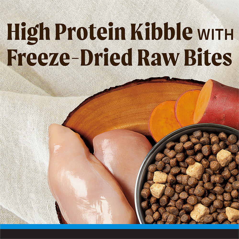 Backcountry Raw Infused Large Breed Dry Dog Food