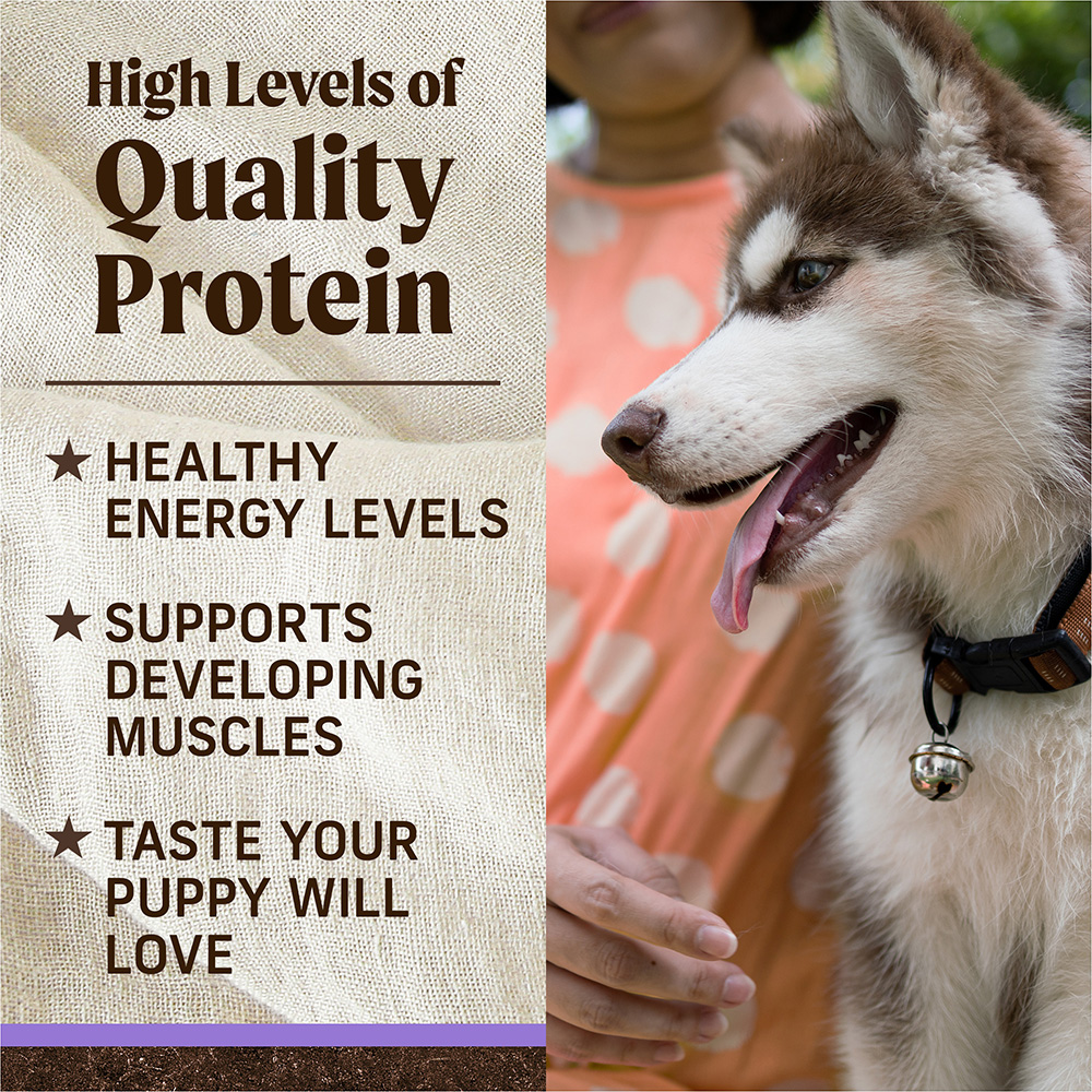 Grain Free Texas Beef & Sweet Potato Puppy Food