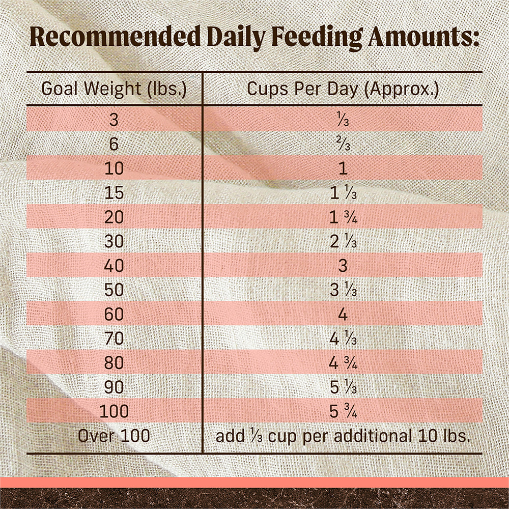 Grain Free Real Salmon & Sweet Potato Dry Dog Food