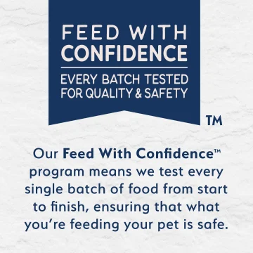 Savory Duck & Pumpkin Recipe - Natural Balance Pet Food Natural Balance Pet Food