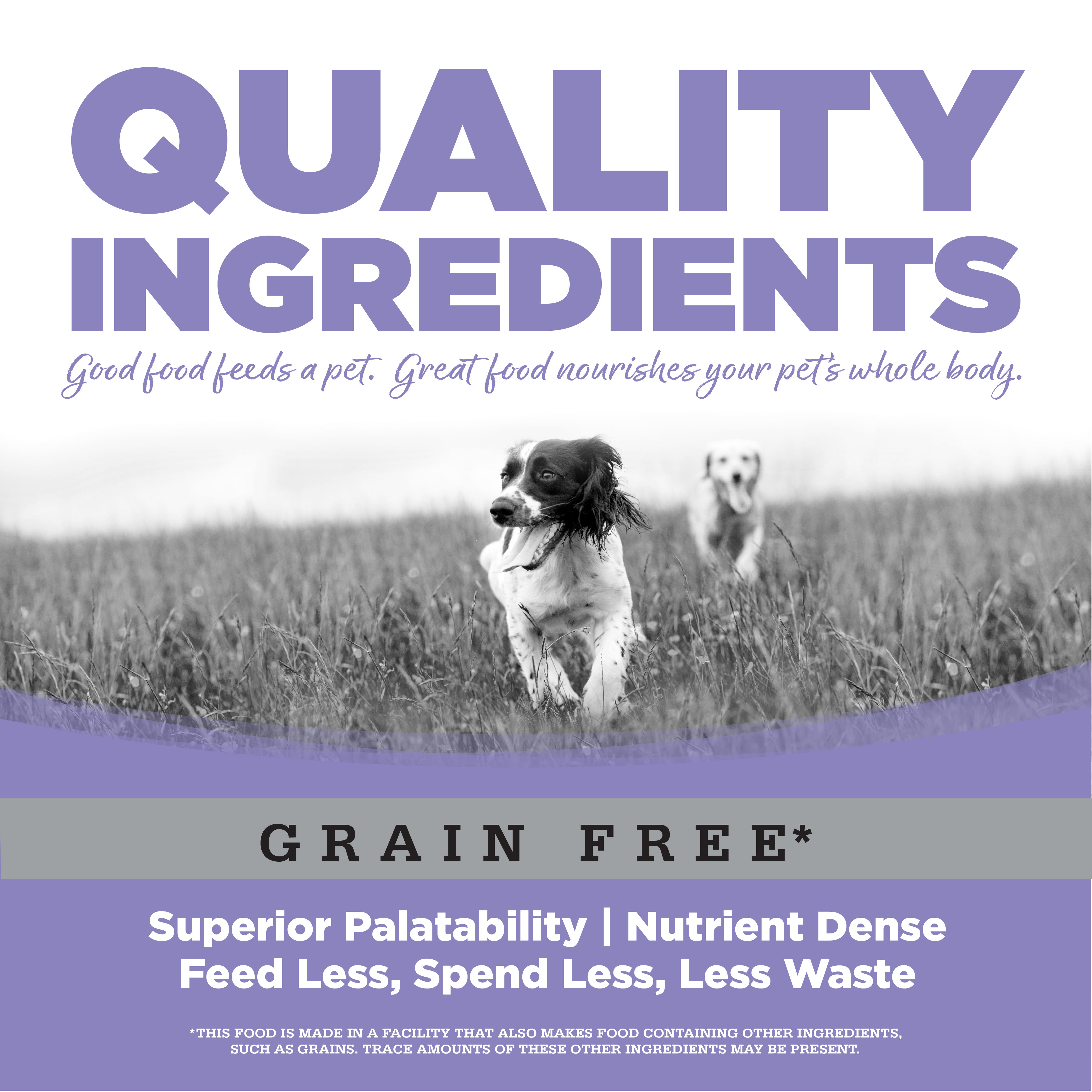 Small & Medium Breed Healthy Puppy Food