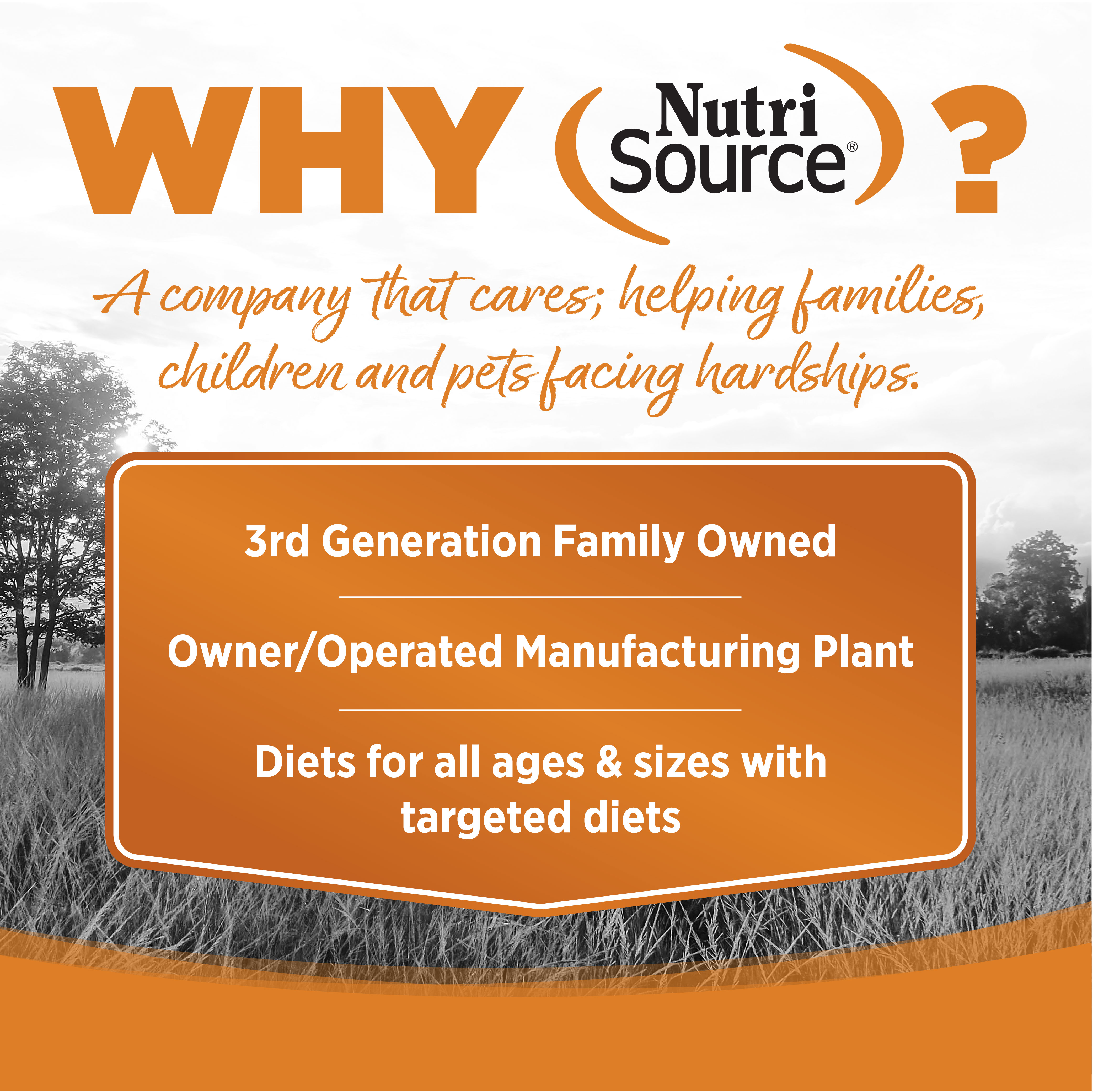 Lamb Meal & Pea Recipe