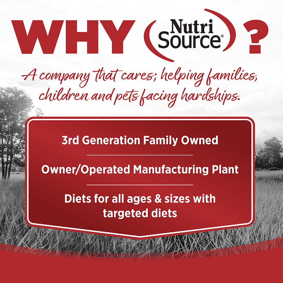 Beef Grain-Free Wet Dog Food