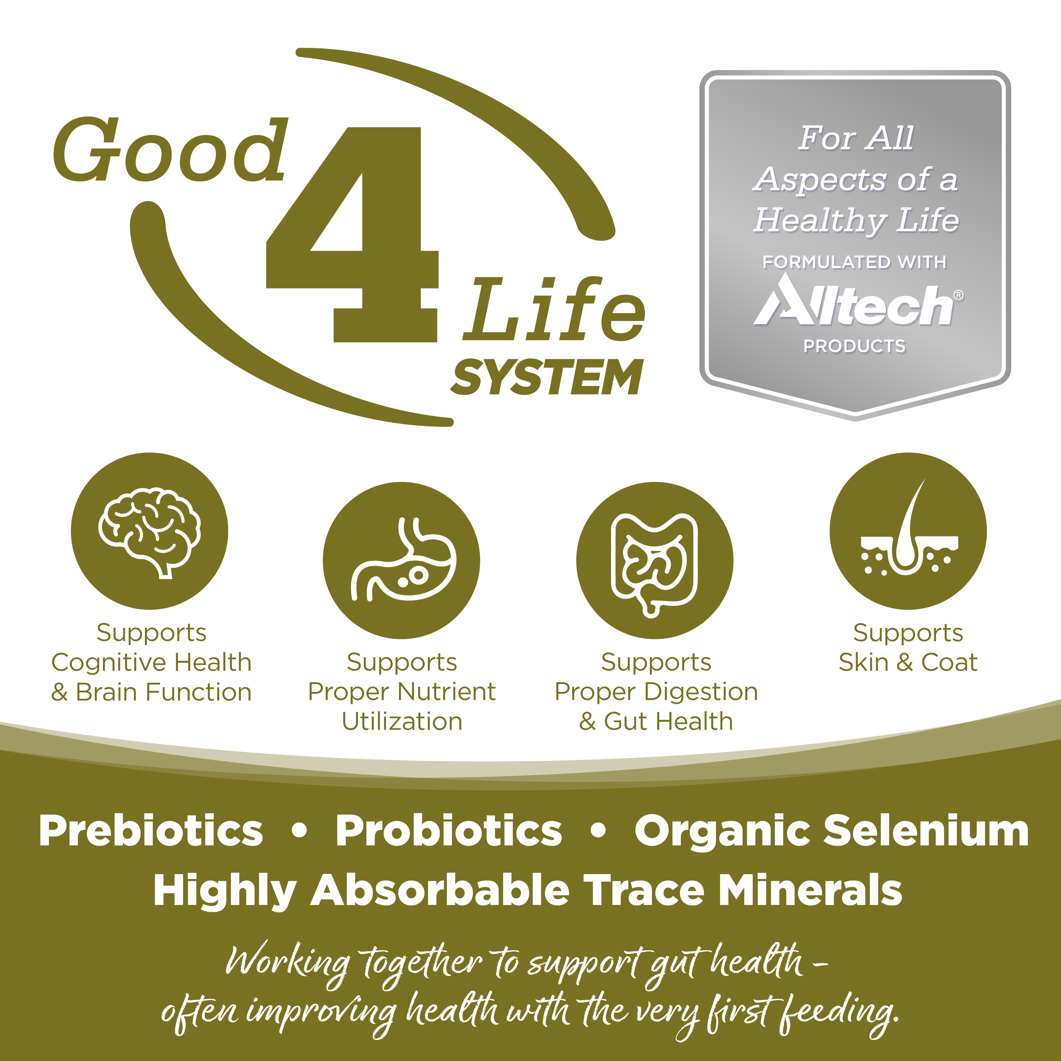 Duck Grain-Free Wet Dog Food