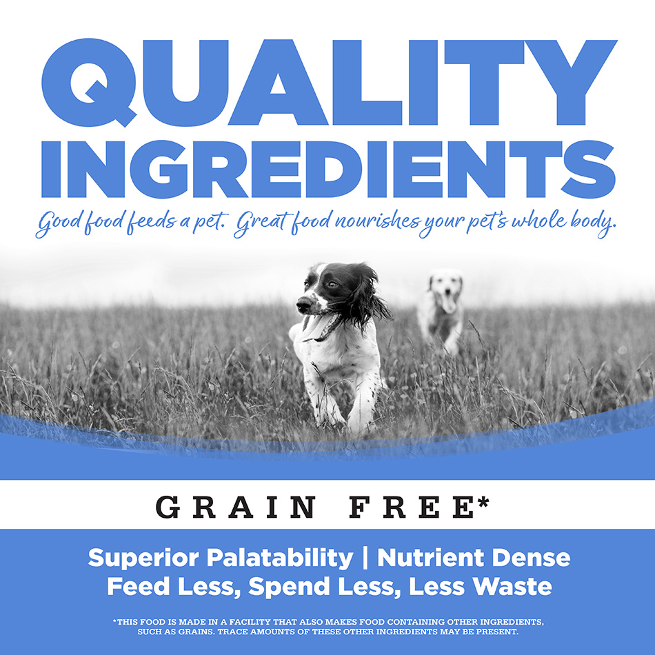 Turkey Grain-Free Wet Dog Food