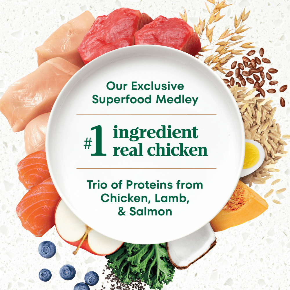 Large Breed Puppy, The Superfood Plate with a Trio of Proteins from Chicken, Lamb and Salmon