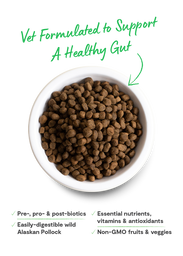 Digestive Health Wild Pollock Recipe - Open Farm