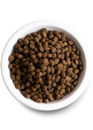 Catch of the Season: Whitefish Ancient Grains Dog Food