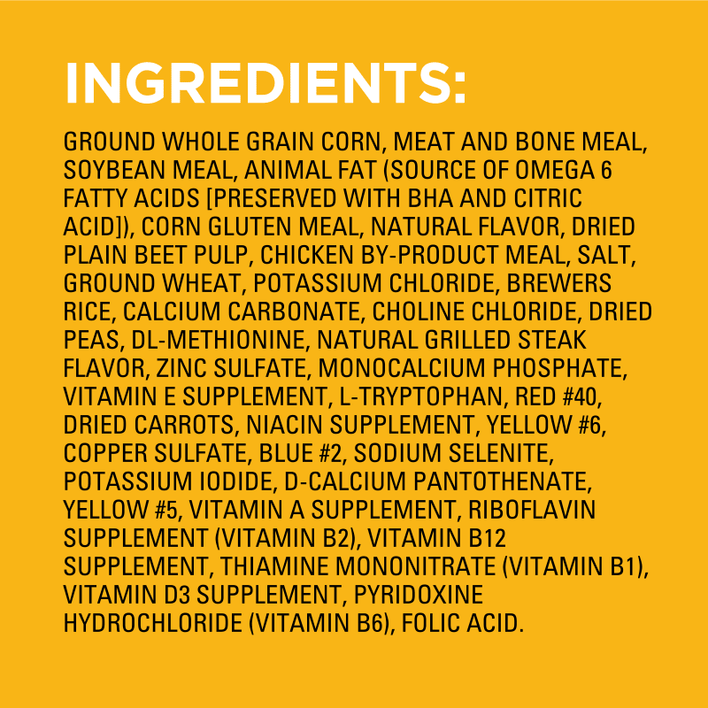 PEDIGREE- Dry Dog Food Adult Grilled Steak & Vegetable Flavor