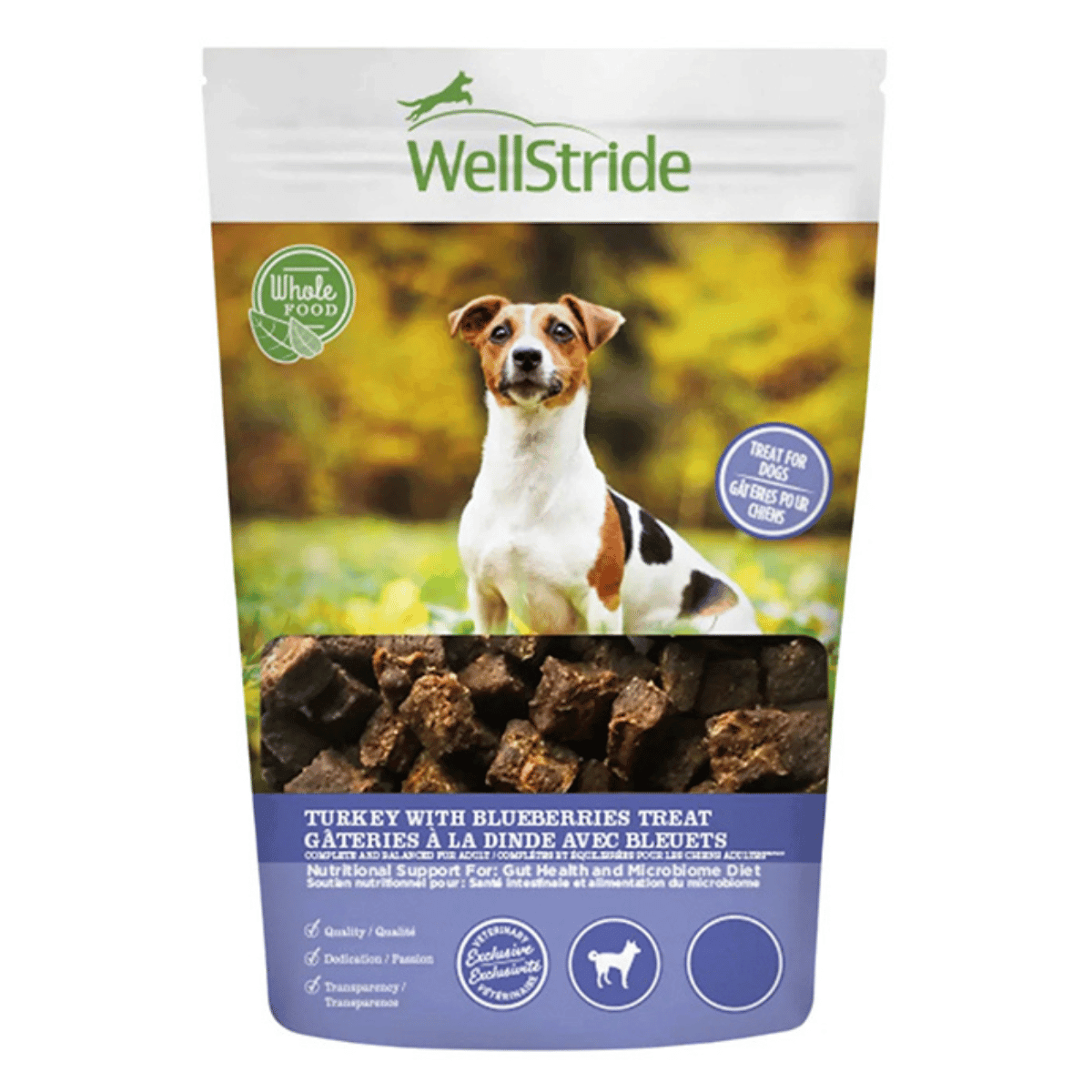 WellStride Turkey with Blueberries Treats For Dogs - Rayne Nutrition