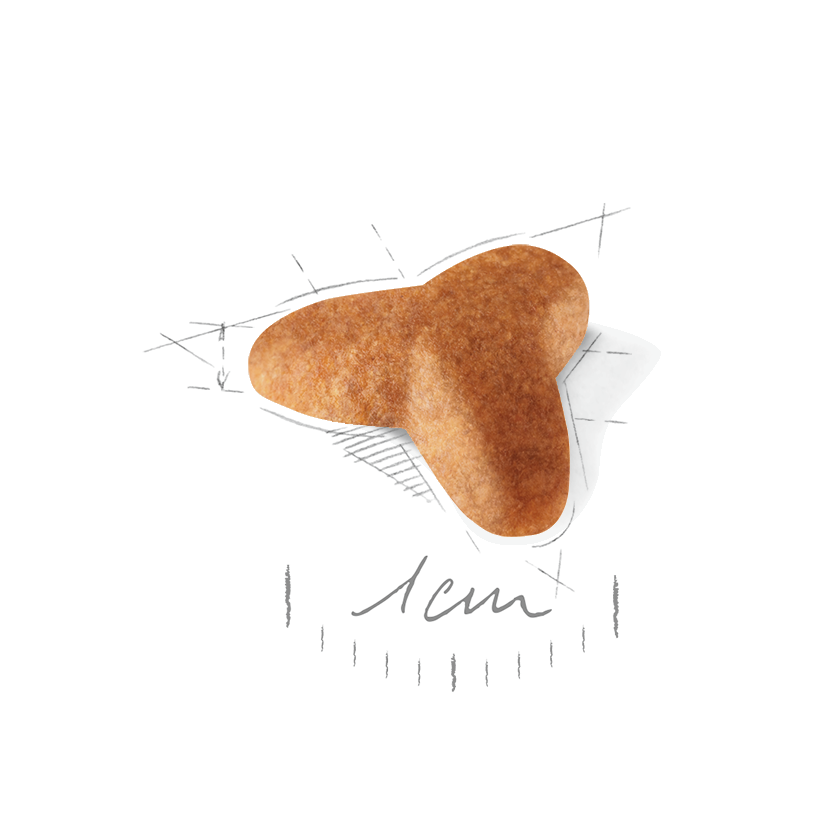 Pug Puppy Dry Dog Food