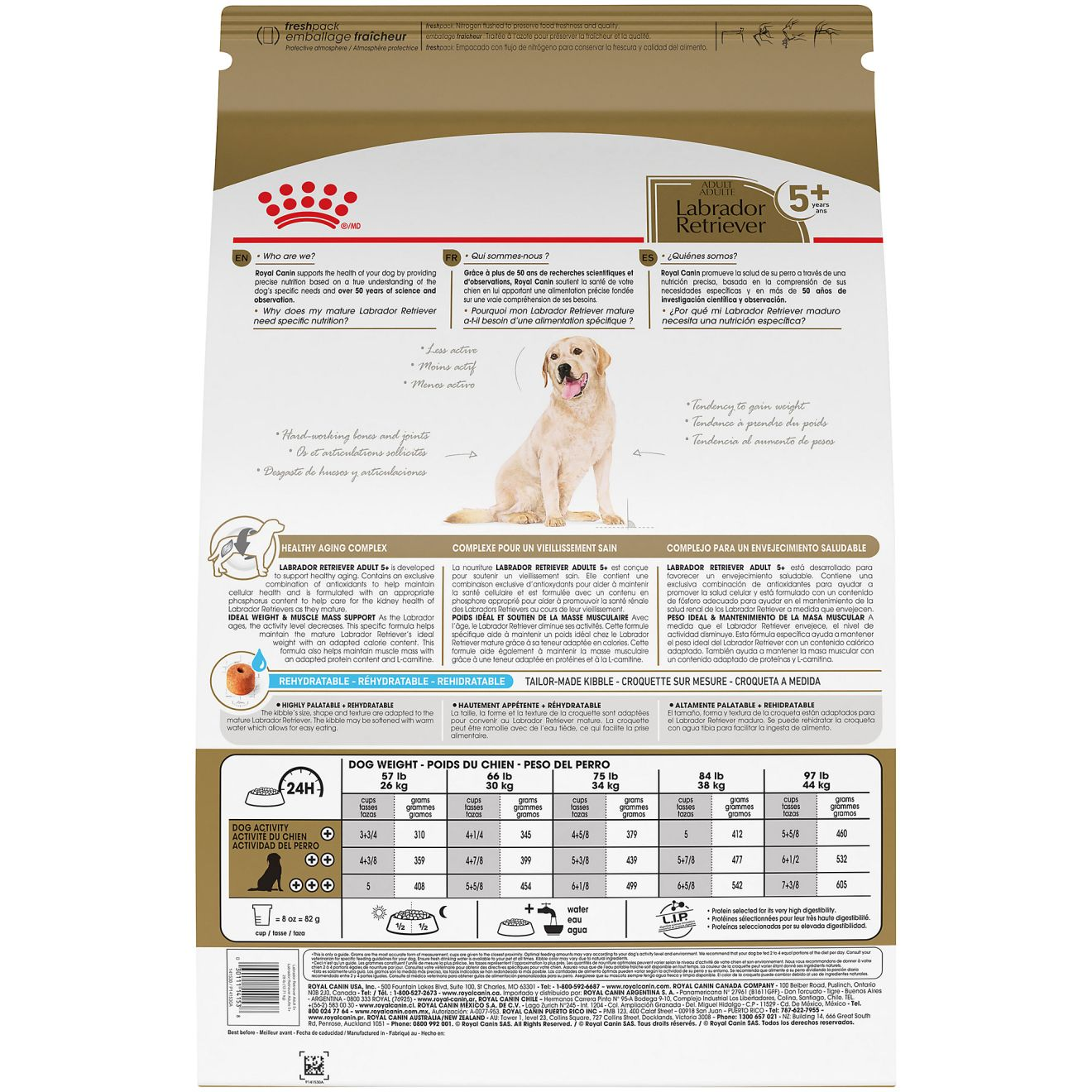 Labrador Retriever Adult 5+ Dog Food
