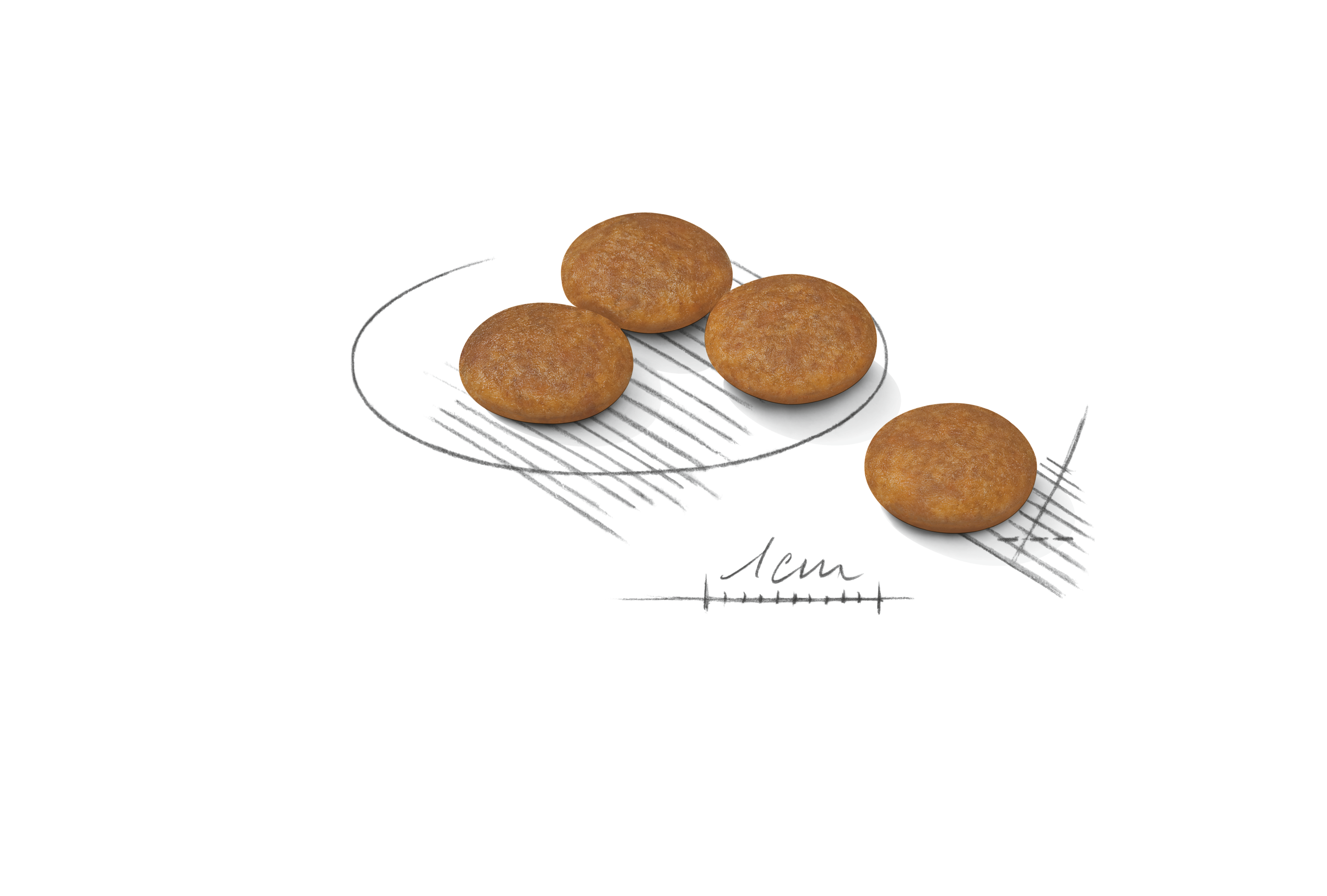 X-Small Weight Care Dry Dog Food