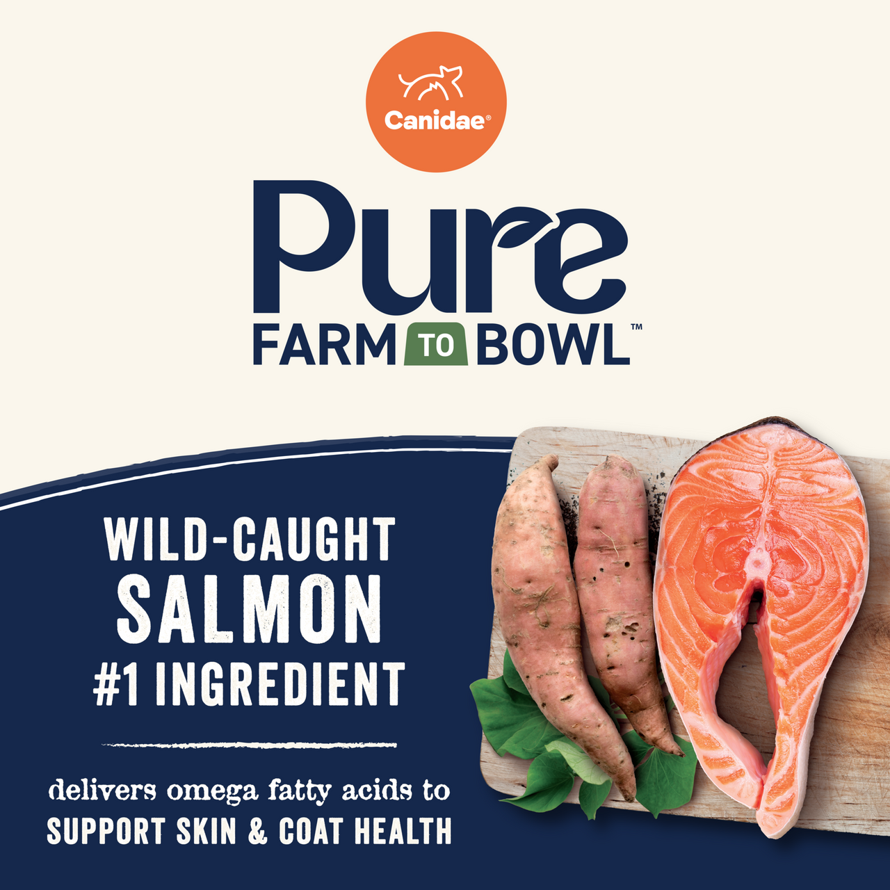 PURE Dry Salmon Dog Food: Grain Free Salmon and Sweet Potato Recipe - Canidae