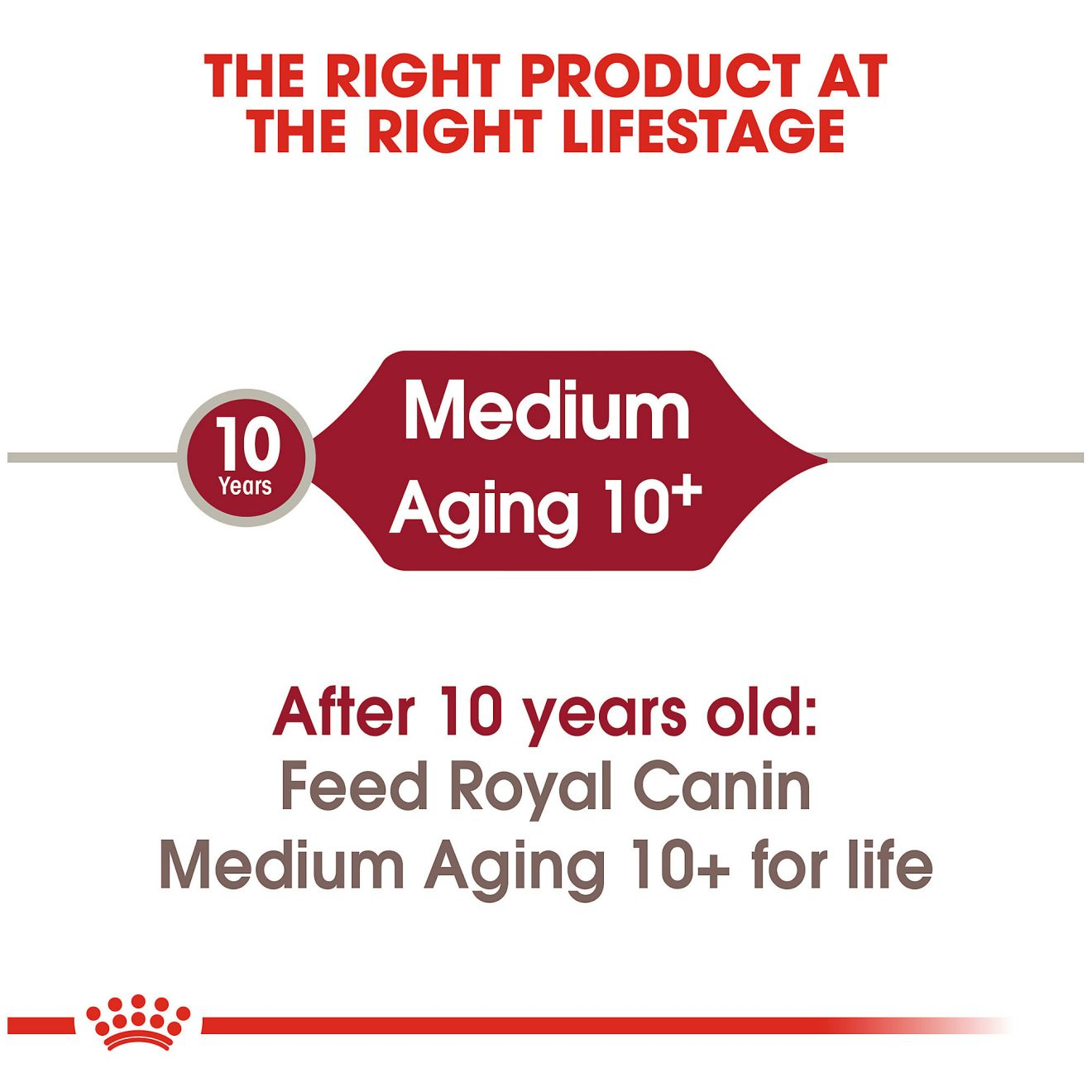 Medium Aging 10+ Dry