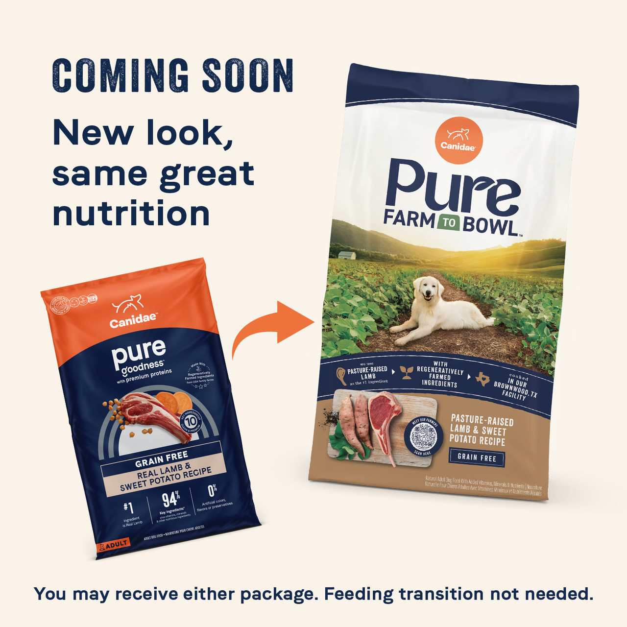 PURE Dry Dog Food: Grain Free Lamb and Sweet Potato - Canidae