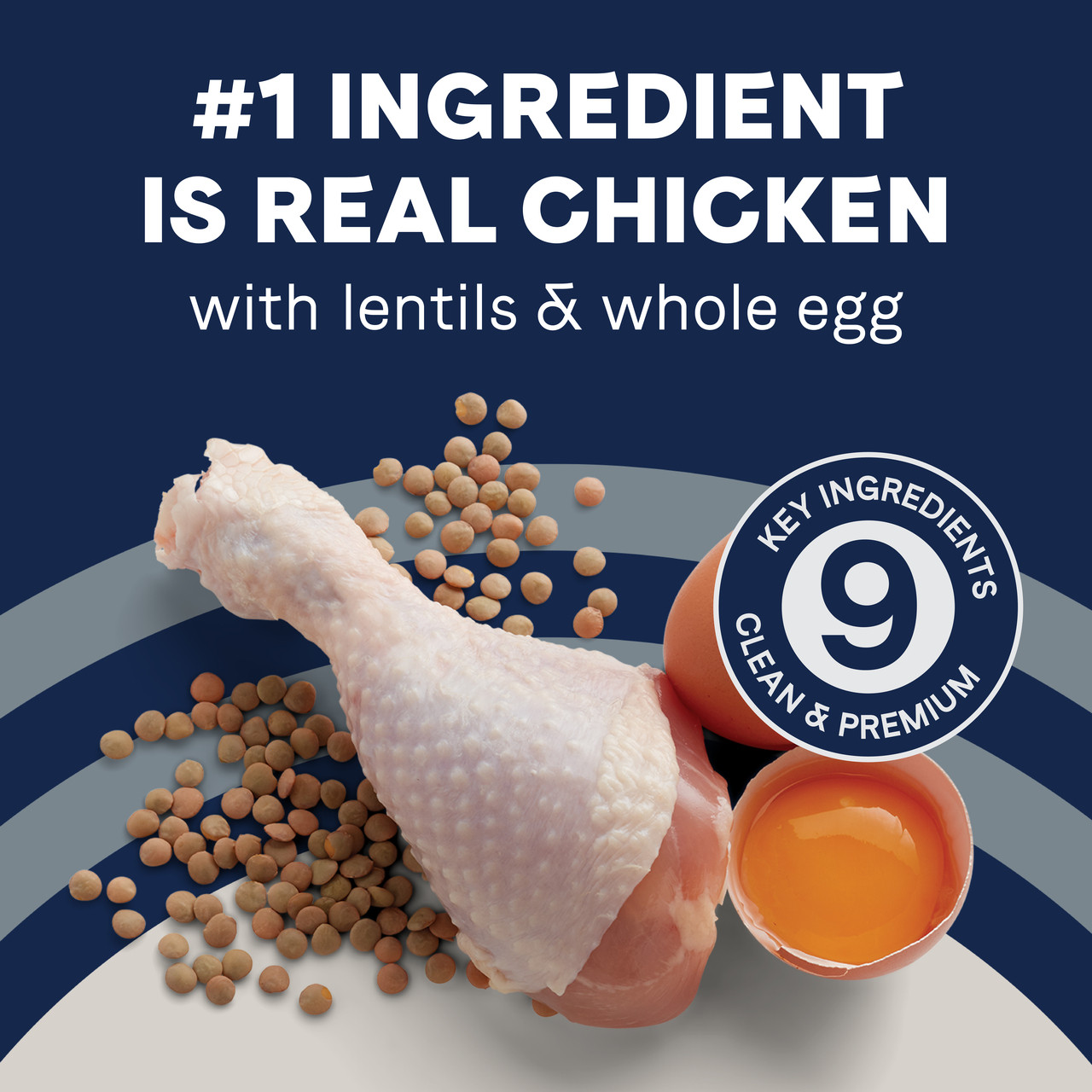 Grain Free, Chicken, Lentil and Whole Egg Recipe