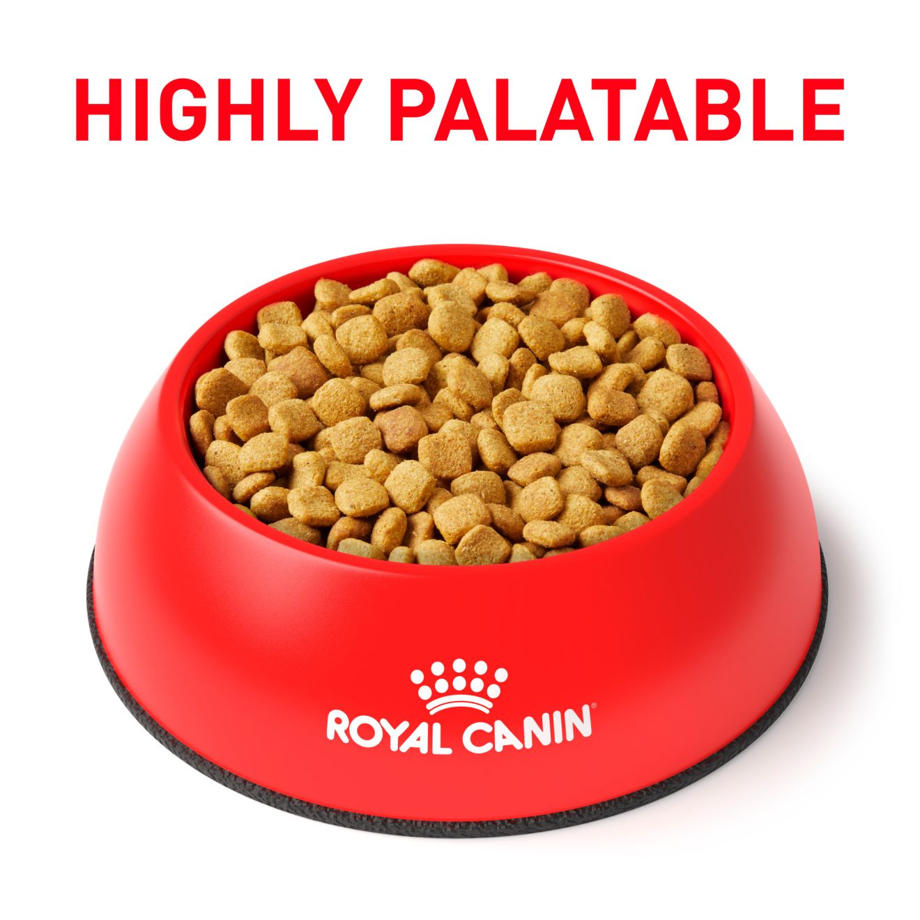 Canine Urinary SO- + Satiety