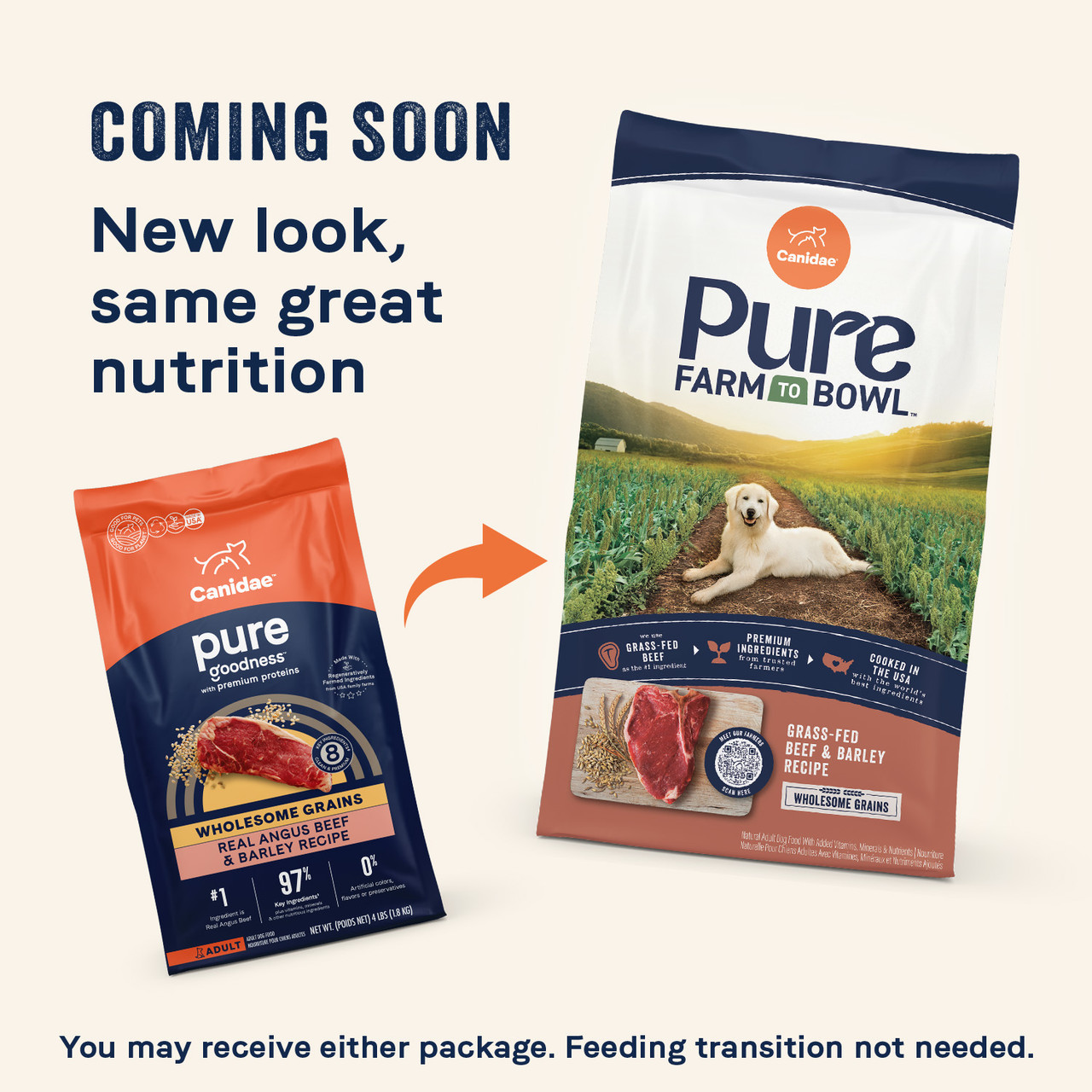 PURE Dry Dog Food: Real Beef & Barley Recipe with Wholesome Grains - Canidae