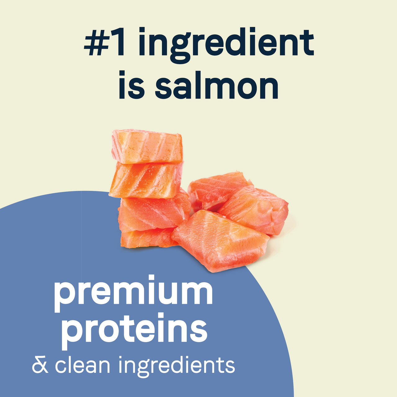 PURE Petite Puppy Dry Food: Grain Free Salmon Recipe for Small Breed Puppies Canidae