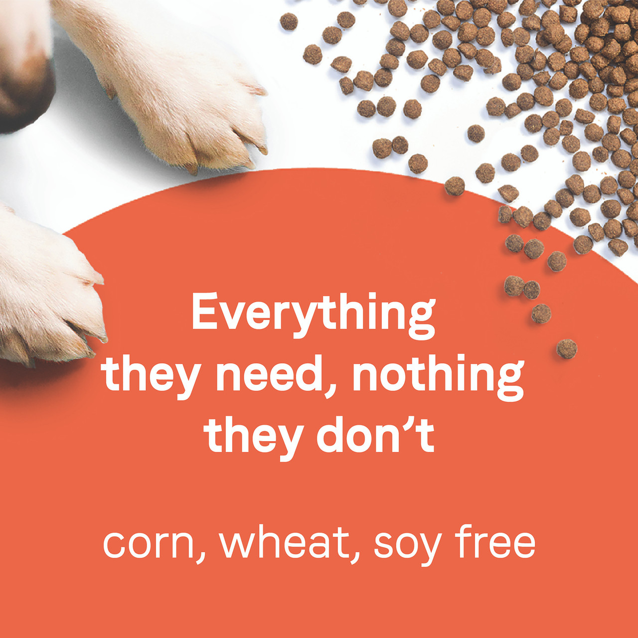 Goodness Dry Dog Food: Real Salmon & Brown Rice