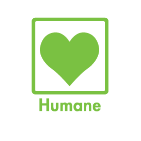 Lamb - Batch - Smallbatch