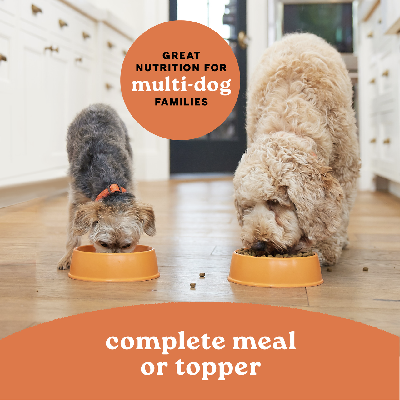 Life Stages Multi-Protein Wet Dog Food: Chicken, Lamb and Fish