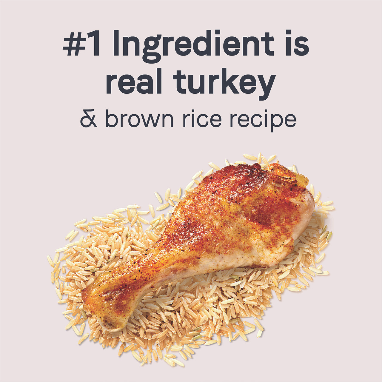 Goodness PUPPY Dry Dog Food: Real Turkey & Brown Rice