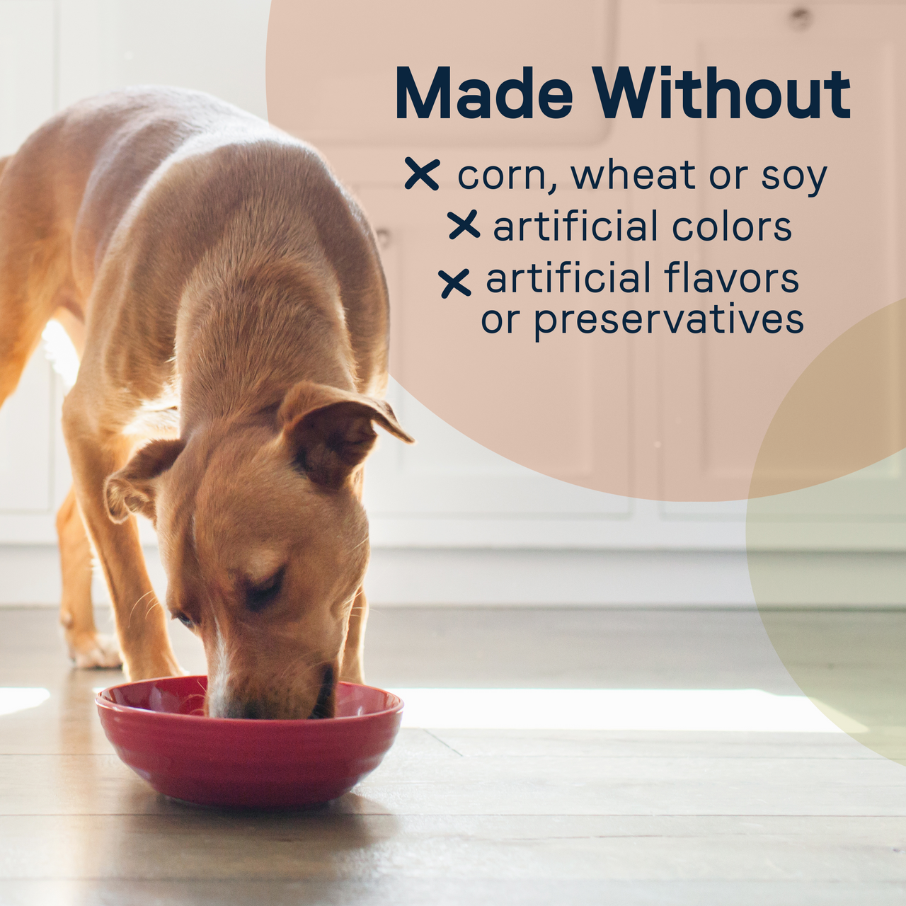 Canidae Goodness Wet Dog Food Protein Topper, Real Chicken & Vegetables in Gravy, 3-oz.