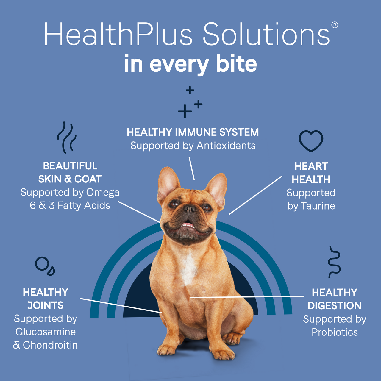 Pure Petite Dry Dog Food for Small Breeds - Chicken and Wholesome Grains, 4 and 10 lbs.